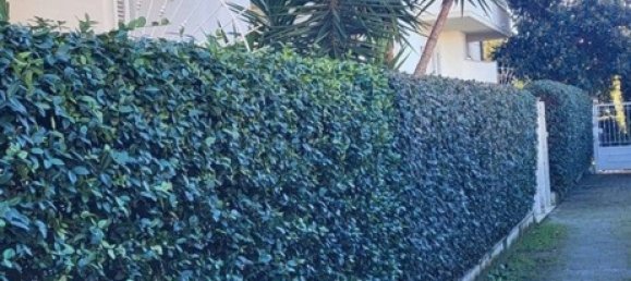 5 bedrooms Villa in Montignoso, Italy No. 316752 6