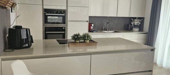 5-Zimmer Haus in Spillern, Austria, Nr. 245205 5