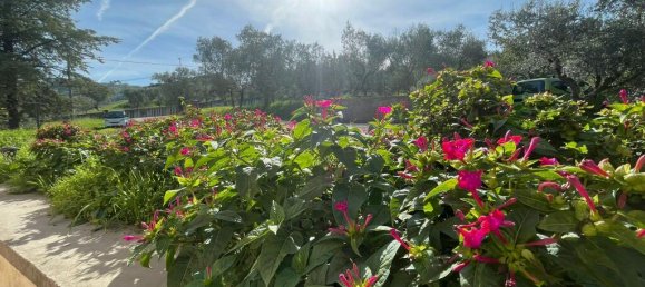 3 غرف نوم منزل في Isola del Liri, Italy رقم 52763 37