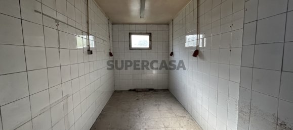5 bedrooms Warehouse in Torres Vedras, Portugal No. 161743 5