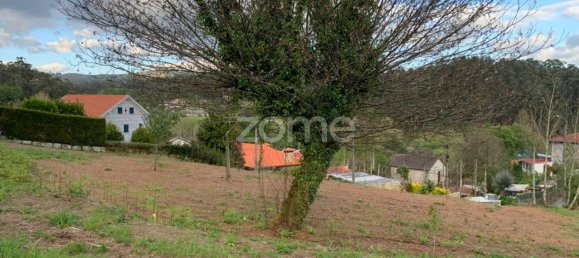 Земельный участок в Travassos, Португалия № 44641 3