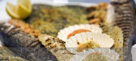 36 rooms Commercial property in Pietrasanta, Italy No. 79477 8