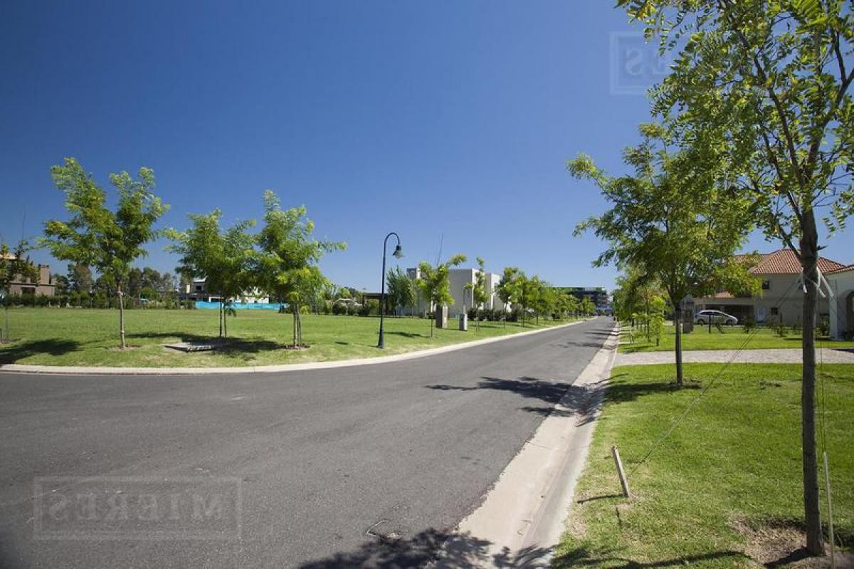  Land in San Fernando, Argentina No. 42463