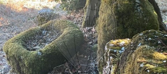 Studio in Terras de Bouro, Portugal No. 180478 4