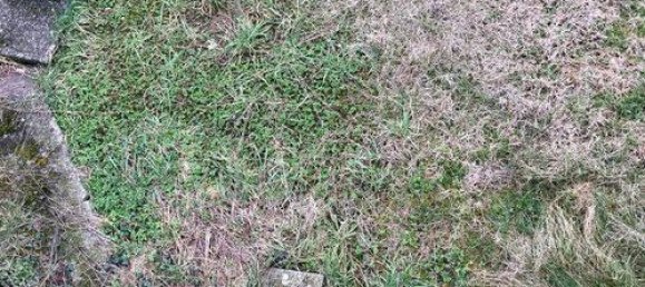 Дом с 5 комнатами в Павулло нель Фриньяно, Италия № 108082 11