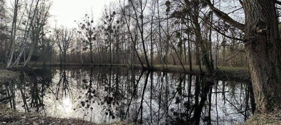 3900m² Land in Presles-et-Thierny, France No. 248840 3