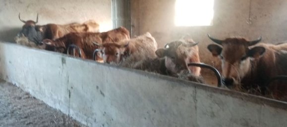 4 chambres Maison à Parres, Spain No. 69361 14