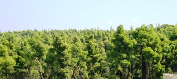  T3 em Chalkidiki, Greece N.º 7048 2