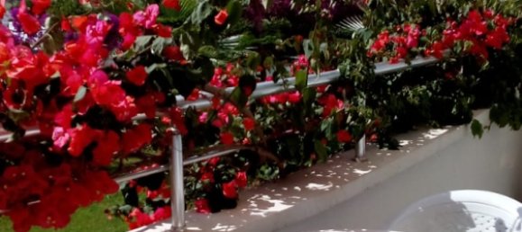 2 rooms Apartment in Mahmutlar, Turkey No. 30123 16