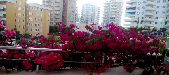 2 rooms Apartment in Mahmutlar, Turkey No. 30123 18
