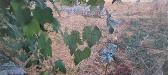 1 bedroom House in Murca, Portugal No. 168589 8