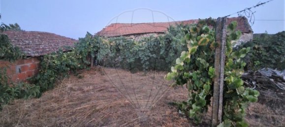 1 bedroom House in Murca, Portugal No. 168589 6