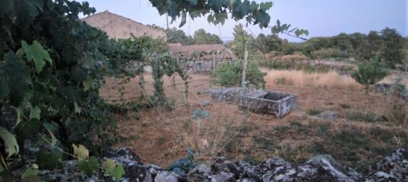 1 bedroom House in Murca, Portugal No. 168589 5