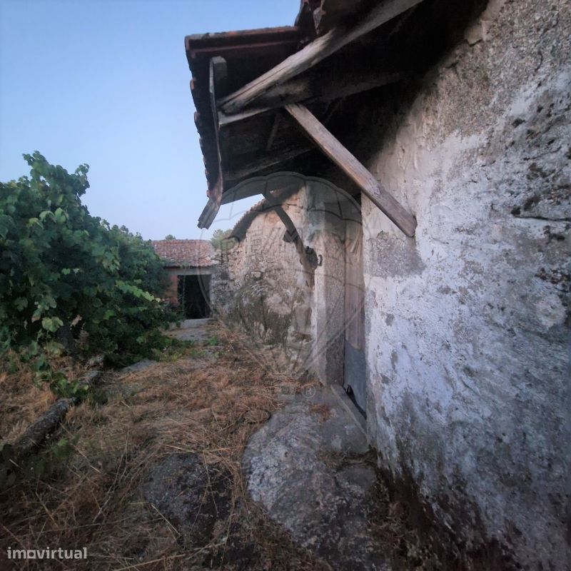 1 bedroom House in Murca, Portugal No. 168589