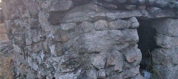 1 bedroom House in Murca, Portugal No. 168589 9