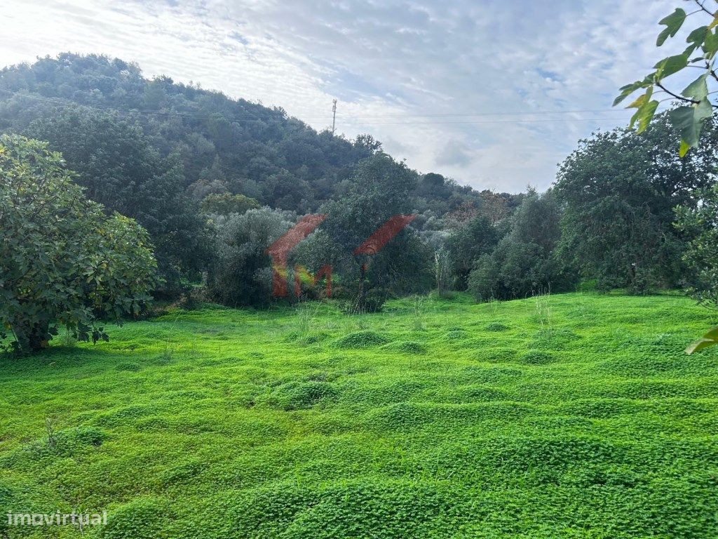 Terrain à Salir, Portugal 1580m² No. 312582