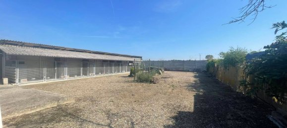 3 Schlafzimmer Haus in Lomello, Italy, Nr. 365658 16