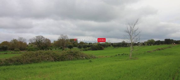 5-Zimmer Haus in Ceglie Messapica, Italy, Nr. 343918 14