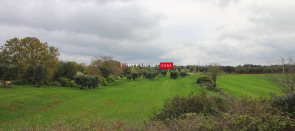 5-Zimmer Haus in Ceglie Messapica, Italy, Nr. 343918 12