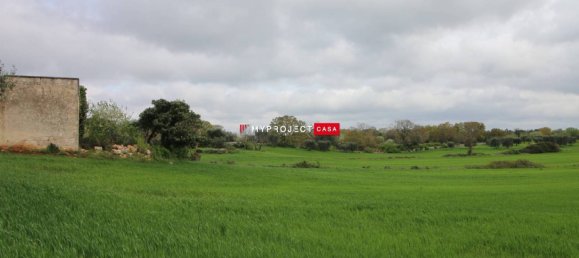 5-Zimmer Haus in Ceglie Messapica, Italy, Nr. 343918 3