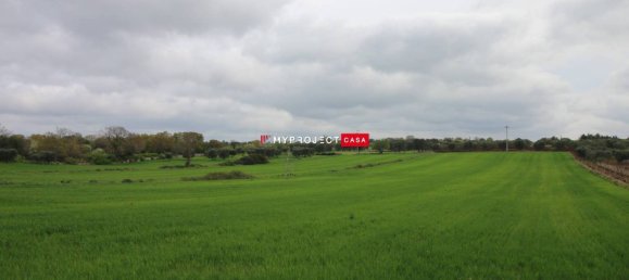 5-Zimmer Haus in Ceglie Messapica, Italy, Nr. 343918 2