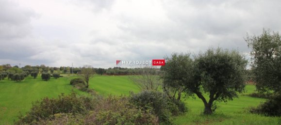 5-Zimmer Haus in Ceglie Messapica, Italy, Nr. 343918 13