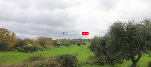 5-Zimmer Haus in Ceglie Messapica, Italy, Nr. 343918 11