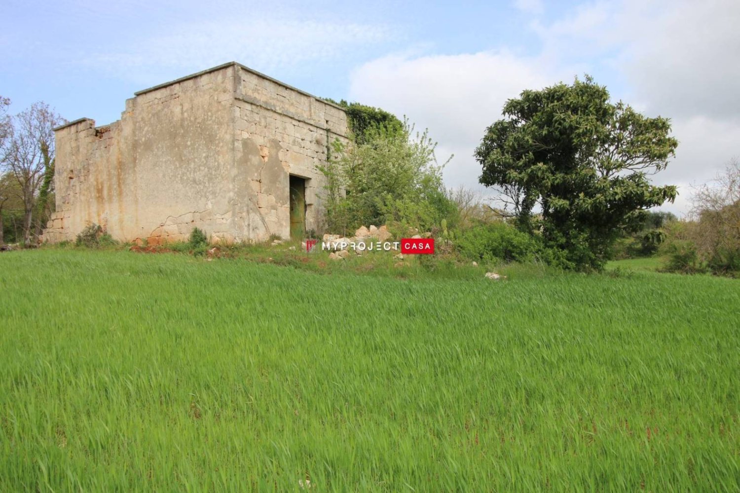 5-Zimmer Haus in Ceglie Messapica, Italy, Nr. 343918