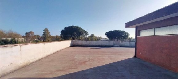 Apartamento de 5 habitaciónes en Latina, Italy No. 74224 19