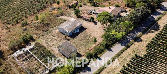 5 rooms House in Scansano, Italy No. 296613 3