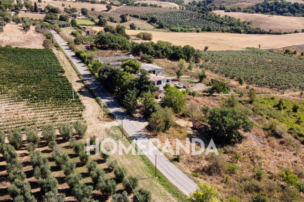 5 rooms House in Scansano, Italy No. 296613