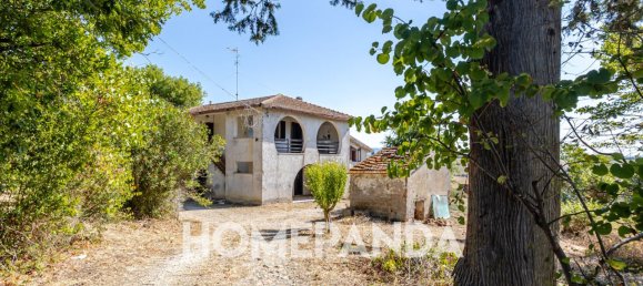 5 rooms House in Scansano, Italy No. 296613 6