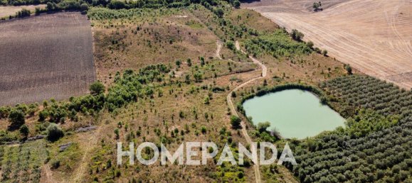 5 rooms House in Scansano, Italy No. 296613 5