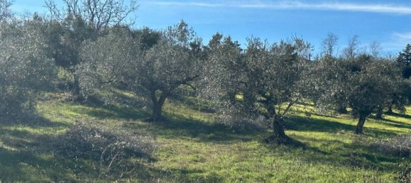 Terreno em Silvi, Italy 7060 m² N.º 260115 5