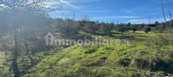 Terreno em Silvi, Italy 7060 m² N.º 260115 6