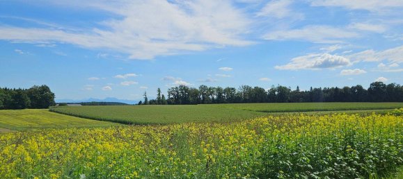 6 غرف نوم منزل في Traunstein, Germany رقم 353132 16