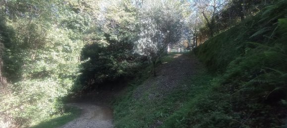 2 rooms House in Camaiore, Italy No. 66140 13