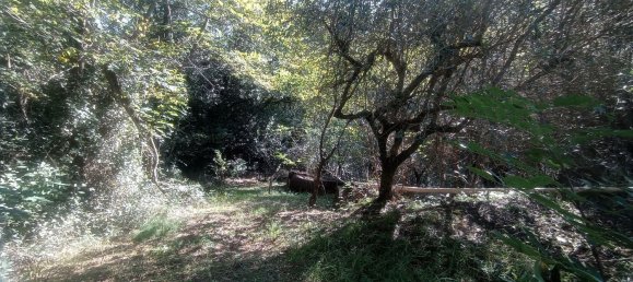 2 rooms House in Camaiore, Italy No. 66140 11