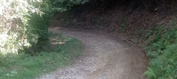 2 rooms House in Camaiore, Italy No. 66140 14