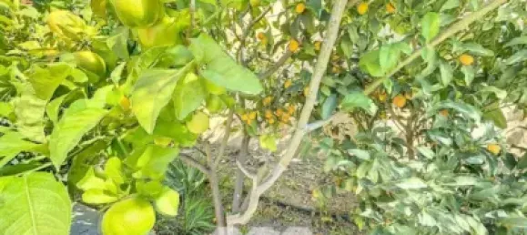 3 chambres Villa à El Penoncillo, Spain No. 111075 45