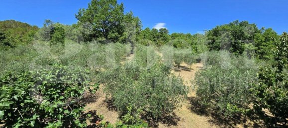 8 rooms Villa in Isernia, Italy No. 281215 15