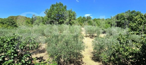 8 rooms Villa in Isernia, Italy No. 281215 22