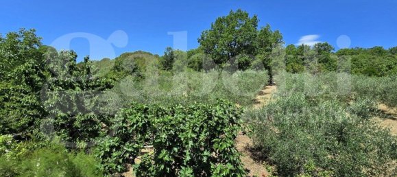 8 rooms Villa in Isernia, Italy No. 281215 20