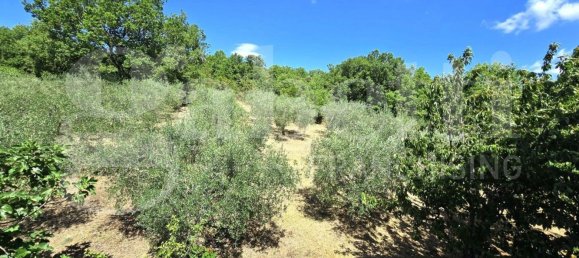 8 rooms Villa in Isernia, Italy No. 281215 21