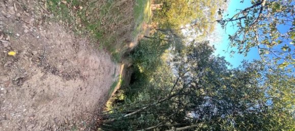 قطعة أرض في Albi, France 5997متر مربع رقم 223853 4