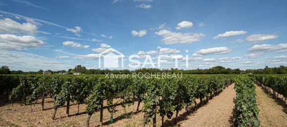 2 غرف نوم قلاع في Chouze-sur-Loire, France رقم 243538 12