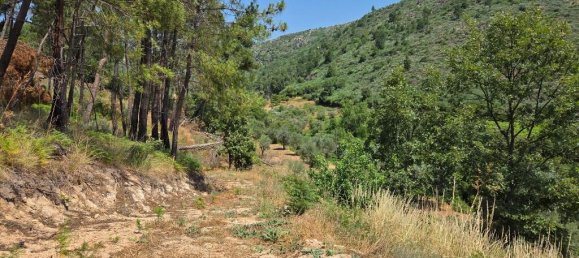 2 Schlafzimmer Haus in Trancoso, Portugal, Nr. 261387 13