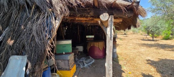 2 Schlafzimmer Haus in Trancoso, Portugal, Nr. 261387 17