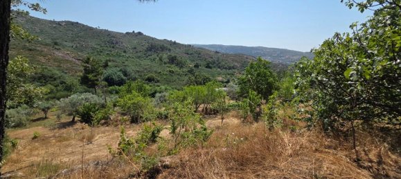 2 Schlafzimmer Haus in Trancoso, Portugal, Nr. 261387 7