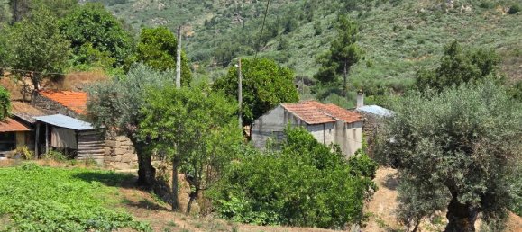 2 Schlafzimmer Haus in Trancoso, Portugal, Nr. 261387 31